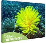 Tablou fosforescent Crin de mare galben 60 cm x 40 cm