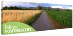  Tablou fosforescent Cereale 60 cm x 20 cm