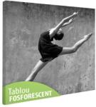  Tablou fosforescent Dansatoare 80 cm x 80 cm