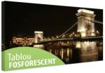  Tablou fosforescent Budapesta Pod 40 cm x 20 cm