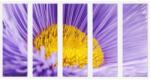  Set Tablou Dual-View Floare macro 180 cm x 60 cm