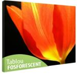  Tablou fosforescent Petale lalele 60 cm x 40 cm