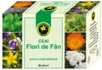 Hypericum Plant Flori de fan 20 plicuri