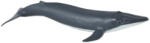 Papo Figurina Papo Marine Life - Mica balena albastra (56041) Figurina
