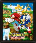 Pyramid Poster 3D cu ramă Pyramid Games: Sonic - Sonic (Catching Rings) (EPPL71538)
