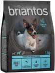 Briantos briantos Adult Mini Somon & cartofi - FĂRĂ CEREALE 4 x 1 kg