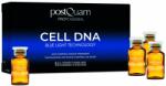 PostQuam Cell DNA Tratament-soc anti imbatranire (PQEBLUE05)