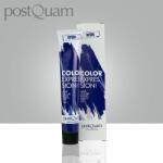 PostQuam Masca pentru colorat parul - Albastru (PQPEXPR01)