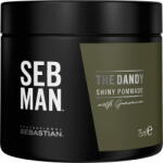 Sebastian Professional The Dandy - 75 ml