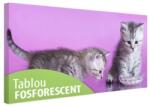  Tablou fosforescent Doi pisoi mici 40 cm x 20 cm