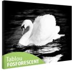  Tablou fosforescent Lebada 60 cm x 40 cm