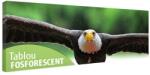  Tablou fosforescent Vultur 90 cm x 30 cm