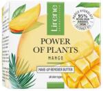 Lirene Unt demachiant Lirene Power Of Plants - Mango, 45 g