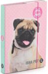 KARTON P+P ISHA - My love Pet A5-ös füzettartó box (5-76620)