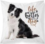 Detexpol Párnahuzat Border collie micro (DL-44711945698)