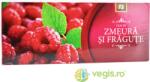 STEFMAR Zmeura si fragute 100 plicuri