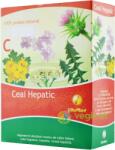 Vitaplant Hepatic 100 g