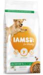 Iams For Vitality Hrana uscata cu pui pentru cainii adulti de talie mare 3kg