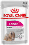 Royal Canin Royal Canin Care Nutrition Exigent Mousse - 12 x 85 g