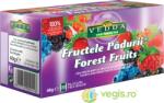 VEDDA Fructele padurii 20 plicuri