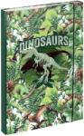 Baagl - Dosare pentru caiete scolare A4 Dinosaur (8595689316020)
