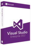 Microsoft Visual Studio Enterprise 2022 (MX3-00199)
