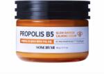 Some By Mi Propolis B5 Glow Barrier Calming Cream - Regeneráló Arckrém Propolisszal 60g