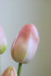  Rózsaszín mű tulipán csokor 46cm (EWA29068)