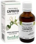 Plantextrakt S. R. L Extract din mladite de Caprifoi, 50 ml, Plant Extrakt