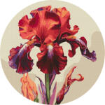 Ideyka Set pictura pe numere rotunda, cu sasiu, Iris magic, O33cm (KHO-R1023) Carte de colorat