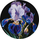 Ideyka Set pictura pe numere rotunda, cu sasiu, Iris delicat, O33cm (KHO-R1021) Carte de colorat