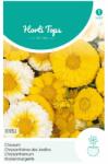 TUINPLUS Seminte de crizanteme duble, 1, 5 grame, Hortitops (HCTG01901)