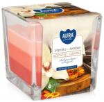 BISPOL Lumânare parfumată „Vanilie și ambră - Bispol Aura Vanilla Amber Candles 170 g