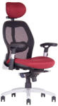 Office Pro Saturn Net