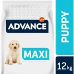 ADVANCE Dog Maxi Puppy Protect 2 x 12 kg