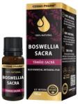 Cosmo Pharm BOSWELLIA SACRA - Ulei Esential De Tamaie-Sacra 10 ml Uz Intern 10ml