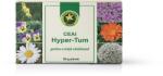 Hypericum Plant Hyper-Tum 30 g