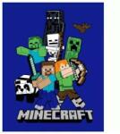 Carbotex Minecraft: Alex, Steve és a csapat polár takaró - 110 x 140 cm (MC003-KOC) - aqua