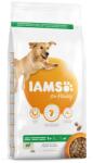 Iams For Vitality Adult Large Breed Lamb 3 kg