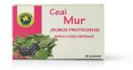 Hypericum Plant Ceai de mur 30 g
