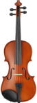 Timelesstools Set vioara acustica in carcasa (HOP1001639)