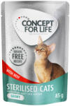 Concept for Life Concept for Life Pachet economic Fără cereale 48 x 85 g - Sterilised Cats Vită în sos