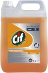 Cif > Pro Formula Diversey Cif Professional Detergent manual de vase cu otet, 5L