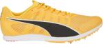 PUMA evoSPEED Distance 11 Futócipő 377961-01 Méret 42 EU Férfi futócipő