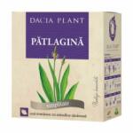 DACIA PLANT Patlagina 50 g