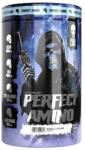 SKULL LABS Perfect Amino 450 g - proteinemag
