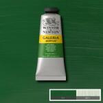 Winsor & Newton Galeria akril festék 60ml/sap green