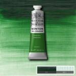 Winsor&Newton Winton olaj festék 37 ml/terre verte