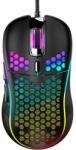 Gotel K182C2 Mouse
