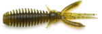 Raid Egu-Bug 6.3cm 001 Green Pumpkin Seed (RAID37023)